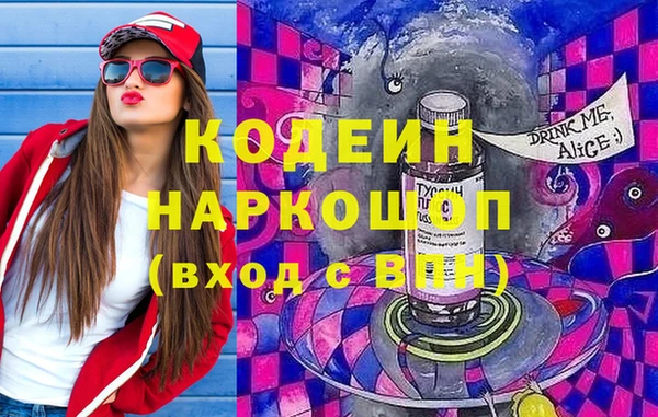 прущие грибы Абаза