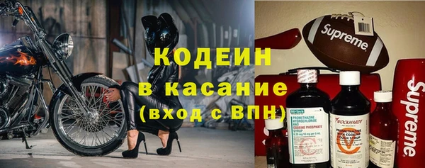 индика Алексеевка