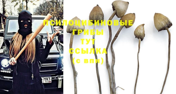 индика Алексеевка