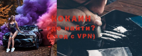прущие грибы Абаза