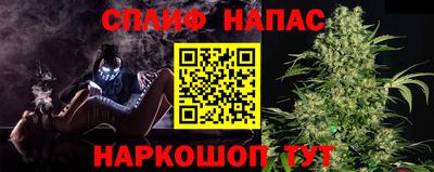 PSILOCYBIN Новозыбков