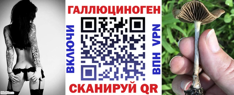 Галлюциногенные грибы мицелий  цена наркотик  Урюпинск 