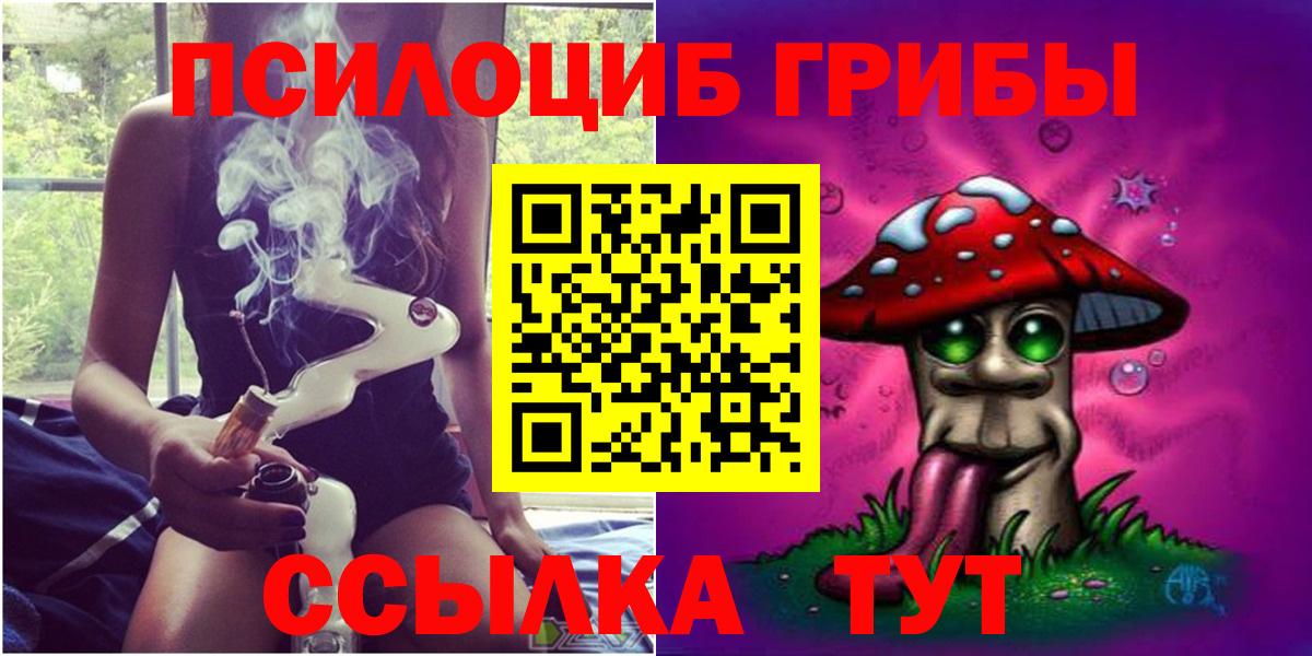 Урюпинск  Псилоцибиновые грибы Psilocybe  Вход с VPN 