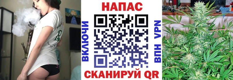 где можно купить   маркетплейс наркотические препараты  Конопля ГИДРОПОН  Урюпинск 